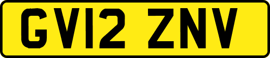 GV12ZNV