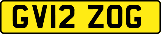 GV12ZOG