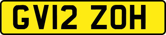 GV12ZOH