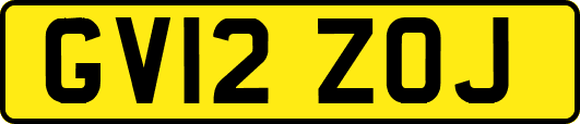 GV12ZOJ
