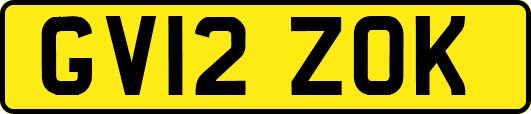 GV12ZOK