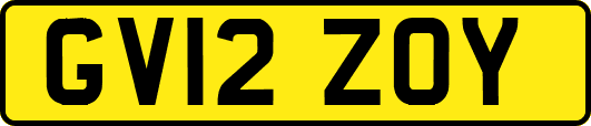 GV12ZOY