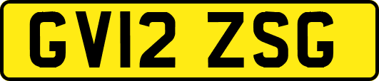 GV12ZSG