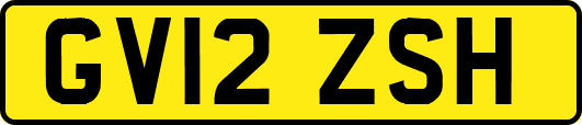 GV12ZSH