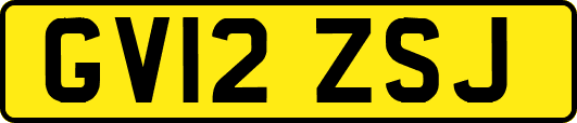 GV12ZSJ