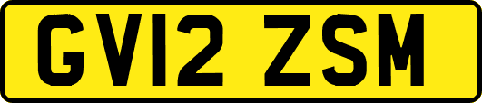 GV12ZSM