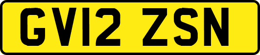GV12ZSN