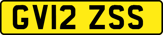 GV12ZSS