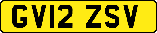 GV12ZSV
