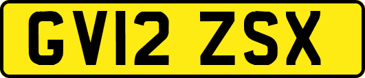 GV12ZSX