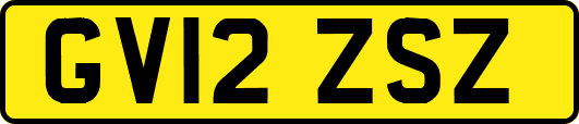 GV12ZSZ