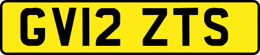 GV12ZTS
