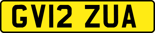 GV12ZUA