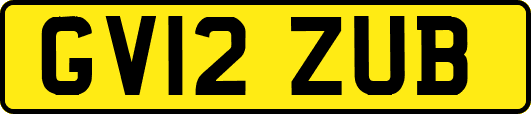 GV12ZUB