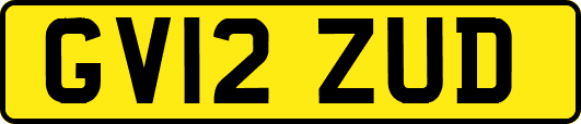 GV12ZUD