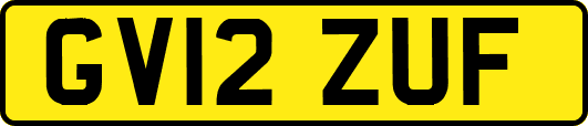 GV12ZUF