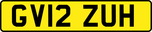 GV12ZUH