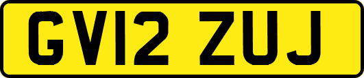 GV12ZUJ
