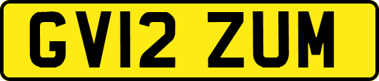 GV12ZUM