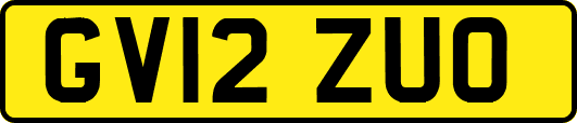 GV12ZUO