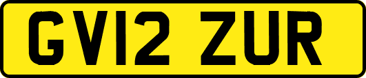 GV12ZUR