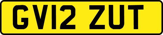 GV12ZUT