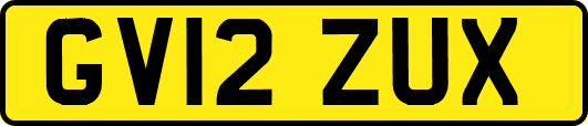 GV12ZUX