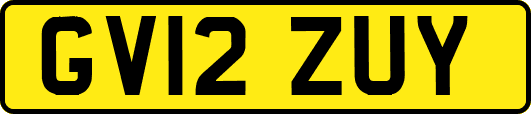 GV12ZUY