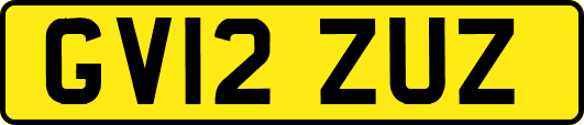 GV12ZUZ