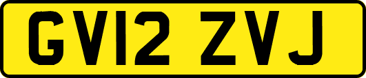 GV12ZVJ