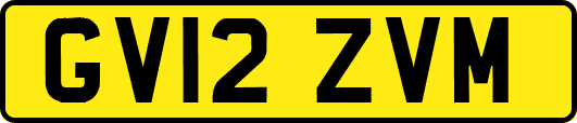 GV12ZVM