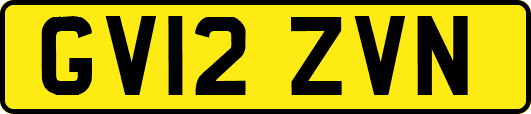 GV12ZVN