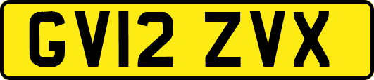 GV12ZVX