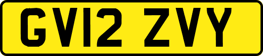 GV12ZVY