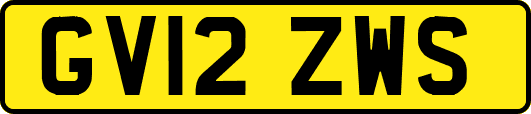 GV12ZWS