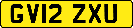 GV12ZXU