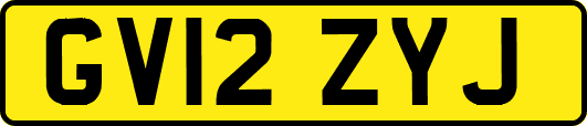 GV12ZYJ