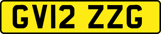 GV12ZZG