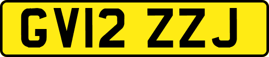 GV12ZZJ