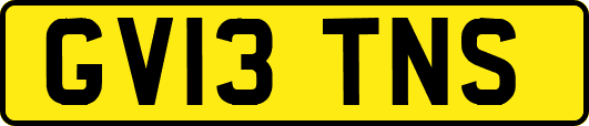GV13TNS