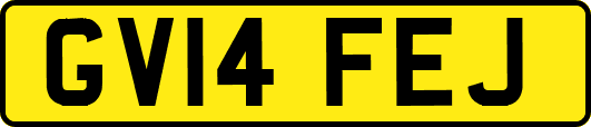 GV14FEJ