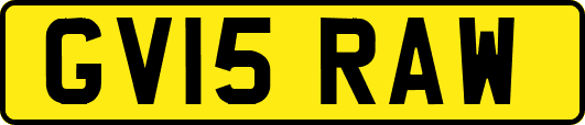 GV15RAW