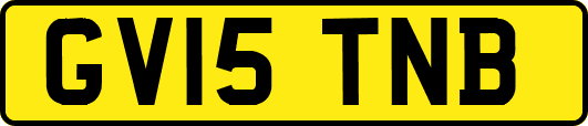 GV15TNB
