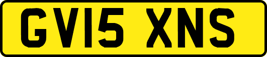 GV15XNS
