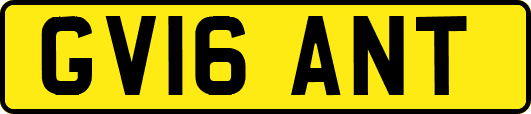GV16ANT