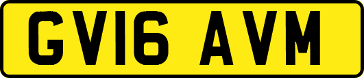 GV16AVM