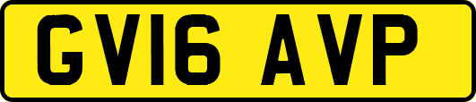 GV16AVP