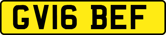 GV16BEF