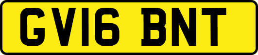 GV16BNT