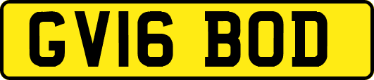 GV16BOD